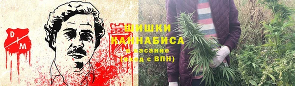 молекула духа Балахна