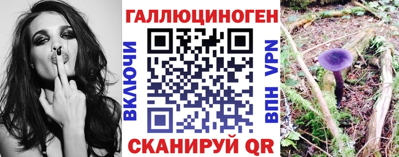 хочу наркоту MEGA ссылка Псилоцибиновые грибы Psilocybine cubensis Стародуб
